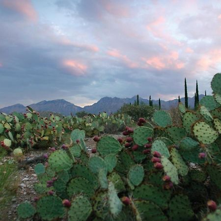 Canyon Ranch Tucson Mount Lemmont Exteriér fotografie