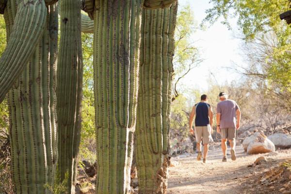 Canyon Ranch Tucson Mount Lemmont Exteriér fotografie
